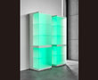 Soma-vitrine8