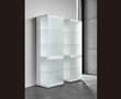Soma-vitrine10