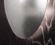 Discus13